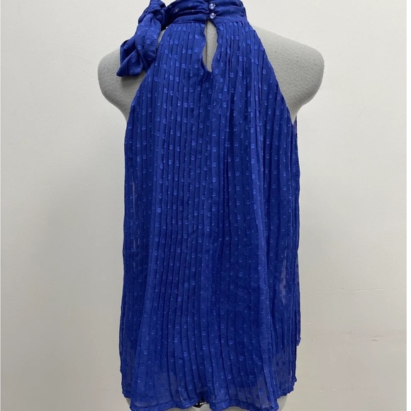 BRODY MILES Accordion Pleated Blouse - Picture 2 of 5